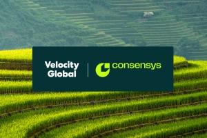 Velocity Global and Consensys